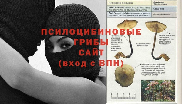 ECSTASY Алексеевка